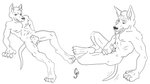 animal_genitalia animal_penis anthro balls canine_genitalia canine_penis digitigrade genitals male masturbation penis sheath solo tail tail_motion tailwag tongue tongue_out waitfurgodot canid canine canis domestic_dog mammal 16:9 monochrome widescreen