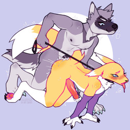 ahegao anal anal_penetration areola arm_stockings big_tail black_areola black_claws blue_claws blue_eyes blush bodily_fluids breath circumcised claws collar cum cum_in_ass cum_inside drooling duo fangs genital_fluids genitals grey_body handjob handjob_while_penetrated leash leash_pull looking_pleasured male male/male orange_sclera panting pawpads penetration penile penis pink_pawpads saliva sex sweat sweatdrop tail teeth raishiteru bandai_namco digimon cole_canine canid canine canis digimon_(species) domestic_dog husky mammal nordic_sled_dog renamon spitz 1:1 2023 hi_res