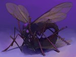 arthropod_abdomen arthropod_abdomen_penetration drone feral kissing male male/male mandibles penetration purple_background sex simple_background wings kmcallah ant arthropod hymenopteran insect hi_res