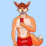 anthro blue_background blue_eyes boxer_briefs brown_hair cellphone clothed clothing electronics hair holding_cellphone holding_object holding_phone holding_smartphone male nipples open_mouth open_smile orange_body pecs phone red_clothing red_underwear selfie simple_background slim smartphone smile solo underwear underwear_only chase_shinien axxel canid canine fox mammal red_fox true_fox 1:1 2021 digital_media_(artwork) hi_res portrait three-quarter_portrait