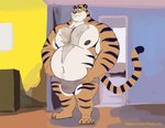 anthro belly belly_grab big_belly big_pecs broad_shoulders bulge chest_tuft clothing detailed_bulge embarrassed felid hi_res male mammal musclegut muscular muscular_male navel nipples pantherine paws pecs solo tcw text tiger tuft underwear url weight_gain
