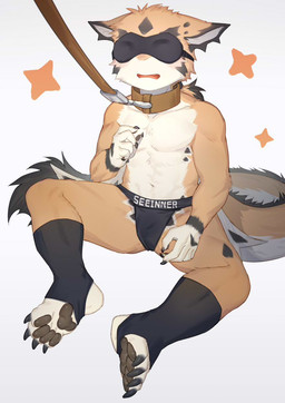 anthro athletic bdsm bent_legs biped black_pawpads blindfold briefs briefs_only clothed clothing collar fur kemono leash leash_pull leashed_collar leg_wraps male multicolored_body open_mouth orange_body pawpads shota simple_background sitting solo tail topless two_tone_body underwear underwear_only white_body wraps young young_anthro young_male toye2004 mythology dragon furred_dragon furred_scalie mythological_creature mythological_scalie scalie hi_res