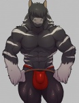 abs anthro biceps black_body black_fur black_hair bulge clothed clothing detailed_bulge front_view fur glistening gloves_(marking) grey_background grey_body grey_fur grey_stripes hair hair_over_eyes male markings multicolored_body multicolored_fur muscular muscular_anthro muscular_male pecs simple_background smile smirk solo standing striped_body striped_fur stripes thong topless two_tone_body two_tone_fur underwear white_stripes knuxlight nightintodream draft_horse equid equine horse hybrid mammal shire zebra zebroid zorse 2016 digital_media_(artwork) portrait three-quarter_portrait