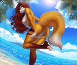 2022 4_toes 5_fingers amur anthro beach bikini bikini_bottom black_nose breasts butt canid canine clothing dutch_angle fangs feet female fingers fox fur genitals hair hindpaw humanoid_hands long_hair looking_at_viewer looking_back looking_back_at_viewer mammal multicolored_body multicolored_fur nipples nude open_mouth open_smile orange_body orange_fur pawpads paws pink_pawpads pussy raised_tail red_hair sea seaside sheena_(grishmark) smile solo swimwear tail teeth toes two_tone_body two_tone_fur undressing water white_body white_fur