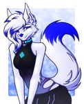 anthro black_bottomwear black_clothing black_topwear blue_body blue_eyes blue_fur blue_hair blue_tail bodysuit bottomwear cargo_pants clothing collar female fur hair looking_at_viewer pants simple_background skinsuit smile solo tail tight_clothing topwear white_body white_ears white_fur white_hair white_tail datkawaiiwolfy amber_puppy canid canine canis mammal wolf hi_res herm_(lore) intersex_(lore)