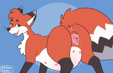 animal_genitalia animal_vulva anus belly big_belly butt canine_genitalia canine_vulva female feral genitals multi_nipple nipples pregnant pregnant_female pregnant_feral presenting presenting_anus presenting_hindquarters presenting_vulva swaying vulva wiggling_butt conditional_dnp heliofox pocketpaws maia_(heliofox) canid canine fox mammal 2d_animation animated frame_by_frame