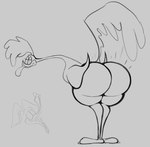 anthro bent_over butt legs_together looking_at_viewer looking_back looking_back_at_viewer male narrowed_eyes presenting presenting_hindquarters simple_background smile smirk solo tongue tongue_out smokey_blokey looney_tunes warner_brothers road_runner_(looney_tunes) wile_e._coyote avian bird cuculiform new_world_ground_cuckoo roadrunner hi_res monochrome