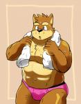 5_fingers anthro bodily_fluids butt chest_tuft clothed clothing fingers kemono male muscular muscular_anthro muscular_male pink_clothing pink_underwear simple_background skimpy solo standing stocky sweat topless towel towel_around_neck tuft underwear shiba-kenta kenta_shiba_(character) canid canine canis domestic_dog mammal shiba_inu spitz 2017