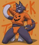 anthro clothed clothing food fruit fur fur_markings holidays jockstrap male male/male markings partially_clothed plant pose pumpkin smile solo sweater topwear trick-or-treating underwear emiwcat halloween emiw_(character) domestic_cat felid feline felis mammal hi_res pinup