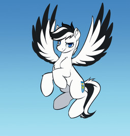 black_hair black_tail black_wings blue_eyes cutie_mark feathered_wings feathers feral flapping_wings flying fur hair looking_at_viewer male smile solo tail two_tone_tail two_tone_wings white_body white_fur white_hair white_tail white_wings wings witchtaunter hasbro my_little_pony mythology bismarck_(oc) fan_character equid equine mammal mythological_creature mythological_equine pegasus animated hi_res