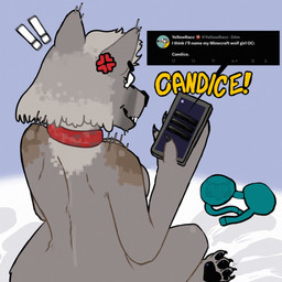angry anthro bed big_butt bra butt claws clothing collar cross-popping_vein electronics exclamation_point female female/female fur furniture grey_body grey_fur looking_at_object looking_at_phone looking_away on_bed pawpads phone solo text tweet underwear yellowracc microsoft minecraft mojang xbox_game_studios candice_(yellowracc) canid canine canis humanoid mammal wolf 1:1 english_text hi_res