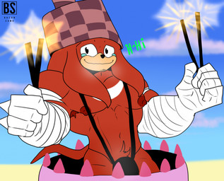 anthro arm_wraps armpit_hair beach big_muscles big_pecs bodily_fluids body_hair bulge cake clothing dessert food looking_at_viewer male muscular muscular_male musk musky_penis nervous nervous_smile one-piece_swimsuit pecs pop_out_cake prostitution pubes sling_bikini solo sparkler sparkles stubble stuttering swimwear tears tuft wraps bacon_sama sega sonic_boom sonic_the_hedgehog_(series) knuckles_the_echidna echidna mammal monotreme hi_res