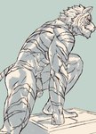 anthro flaccid fur genitals male muscular muscular_male nude penis pubes simple_background solo stripes tail inubikko felid mammal pantherine tiger