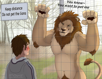 against_fence against_surface anthro arm_tuft biceps black_pawpads blush brown_body brown_eyes brown_fur cage claws clothed clothing duo elbow_tuft fence fur hoodie in_cage larger_anthro larger_male male mane muscular muscular_male navel nude outside pawpads pecs plant pubes size_difference smaller_human smaller_male smile tail tail_tuft text topwear tree tuft vivarium whiskers zoo_(facility) wulfusweid felid human lion mammal pantherine english_text redraw