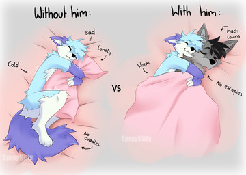 anthro black_body black_fur blue_body blue_fur blue_tail cuddling duo eyes_closed fur gloves_(marking) grey_body grey_fur male male_anthro markings pillow pink_blanket pink_pillow sleeping smile tail text under_covers spraykitty canid canine fox mammal 2024 artist_name digital_drawing_(artwork) digital_media_(artwork) english_text