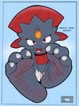 3_toes anthro fangs feet female foot_focus humanoid_feet looking_at_viewer nude open_mouth plantigrade red_eyes soles solo teeth text toes wrinkled_feet wrinkles dummycervine nintendo pokemon generation_4_pokemon pokemon_(species) weavile absurd_res hi_res