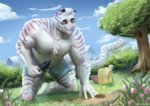 anthro bottomwear bulge chest_tuft clothed clothing eyewear flower fur gardening glasses grass kneeling male outside plant shorts smile solo striped_body striped_fur stripes topless tree trowel tuft watering_can white_body white_fur sirtoastybuns felid mammal pantherine tiger