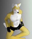 abs anthro blush boxer_briefs claws clothed clothing fingerless_gloves fur gloves green_eyes handwear male nipples simple_background sitting solo underwear underwear_only yellow_body yellow_fur nihilistdigby nintendo star_fox fox_mccloud canid canine fox mammal absurd_res hi_res