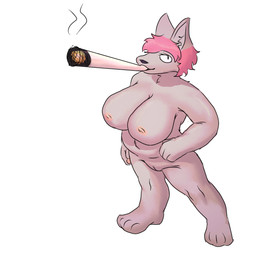 anthro female genitals nipples nude solo vulva arrier_jewolf mau_makan_apa ralsei_smoking_blunt exoworo canid canine canis mammal 1:1 meme