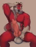 animal_genitalia animal_penis anthro balls big_penis biped canine_genitalia canine_penis erection fur genitals hair hand_on_penis holding_own_sheath holding_sheath huge_penis knot male muscular muscular_anthro muscular_male nude open_mouth penis red_body ring_piercing sheath sitting solo thick_thighs tongue tongue_out white_body white_fur huffpup gausswolf alaskan_malamute canid canine canis domestic_dog mammal nordic_sled_dog spitz hi_res