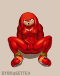 anthro anus balls big_chest big_penis bodily_fluids butt clothing erection footwear fur genitals male muscular muscular_anthro muscular_male nipples nude pecs penis shoes smile solo ryokusetteh sega sonic_the_hedgehog_(series) knuckles_the_echidna echidna eulipotyphlan mammal monotreme absurd_res digital_media_(artwork) hi_res