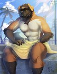 abs anthro brown_body brown_fur cloud day floppy_ears fur male multicolored_body multicolored_fur outside sitting sky solo towel towel_around_waist towel_only wet wet_body wet_fur mekaska norton_(nerton) canid canine canis domestic_dog mammal hi_res