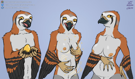 5_fingers anthro areola areola_expansion arm_tuft beak belly belly_expansion belly_tuft big_breasts black_beak black_body black_claws black_feathers black_striped_feathers black_stripes black_talons breast_growth breasts chest_tuft claws closed_smile crotch_tuft curious egg eggnant expansion feather_tuft feathers female female_anthro fingers frown gender_transformation golden_egg grey_background grey_body grey_feathers growth hand_on_belly hand_on_breast hand_on_hip hand_on_own_belly hand_on_own_breast hand_on_own_hip head_tuft hip_expansion holding_egg holding_object hooked_beak looking_aside looking_at_object looking_at_self looking_down looking_down_at_object looking_down_at_self magic_effects male male_anthro medium_breasts motion_lines mouth_closed mtf_transformation neck_tuft nipple_expansion nipples non-mammal_breasts non-mammal_nipples nude nude_anthro nude_female nude_male open_mouth orange_areola orange_nipples pink_mouth pink_tongue pregnant pregnant_anthro pregnant_female red_body red_feathers scutes shoulder_tuft simple_background smile solo sparkles standing stripes surprised talon_hands text three_frame_sequence tongue transformation transformation_by_object transformation_through_magic tuft white_belly white_body white_feathers white_neck wide_hipped_anthro wide_hipped_female wide_hips winged_arms wings yellow_eyes yellow_nose yellow_scutes xenthetechnomorph volcav accipitrid accipitriform avian bird buteo chickenhawk red-tailed_hawk 2026 absurd_res dated digital_media_(artwork) english_text hi_res sequence signature