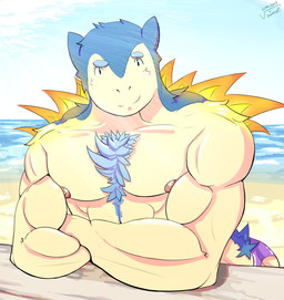 anthro areola beach biceps biped chest_tuft clothing crossed_arms eyebrows fur looking_at_viewer male muscular muscular_anthro muscular_male nipples outside pecs sand sea seaside sky smile solo sun swimming_trunks swimwear tuft water viridianvariant nintendo pokemon generation_2_pokemon pokemon_(species) typhlosion 2014 digital_media_(artwork) unavailable_at_source