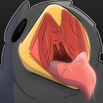 ambiguous_gender beak black_body black_feathers bodily_fluids dripping feathers feral mouth_shot open_mouth saliva saliva_drip saliva_on_tongue saliva_string solo uvula yellow_beak jtay avian bird 1:1 hi_res