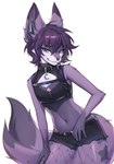 aegyo_sal anthro bottomwear clothed clothing collar crossdressing dipstick_ears ear_markings femboy fishnet_clothing fishnet_leggings fishnet_legwear fully_clothed fur hair leggings legwear looking_at_viewer male midriff multicolored_ears navel purple_body purple_fur purple_hair shorts simple_background smile solo white_background white_body white_fur bitterk4t canid canine fox mammal 2024 digital_media_(artwork) hi_res