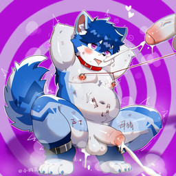 anthro balls bdsm belly bite_mark blue_body blue_hair blush bodily_fluids body_writing bruised collar crouching cuff_(restraint) cum cum_from_ass cum_in_ass cum_inside cum_on_face disembodied_penis ejaculation erection foreskin genital_fluids genitals hair hands_behind_head heart_(marking) humanoid_genitalia humanoid_penis humiliation hypnosis kemono male markings mind_control nipple_piercing nipple_ring nipple_ring_pull nipples overweight partially_retracted_foreskin penis piercing restraints ring_piercing ringed_background ringed_eyes shackles shaking solo string tongue tongue_out young young_anthro young_male riscal canid canine canis domestic_dog mammal 1:1 hi_res watermark