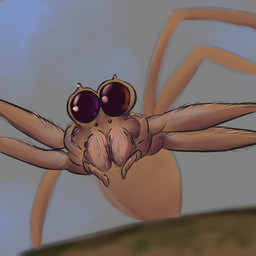 4_eyes ambiguous_gender big_eyes close-up depth_of_field fangs feral hair looking_at_viewer multi_eye pedipalps realistic simple_background solo teeth teratori arachnid arthropod ogre-faced_spider spider 1:1 hi_res