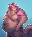 anthro belly big_belly blue_body blue_fur blush clothing ear_piercing facial_piercing fluffy fur industrial_piercing jockstrap male nose_piercing overweight overweight_anthro overweight_male piercing pink_body pink_fur purple_body purple_fur ripped_underwear septum_piercing simple_background solo underwear whiskers white_body white_fur tailtufts canid canine canis domestic_dog husky mammal nordic_sled_dog spitz digital_media_(artwork) hi_res