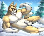 abs animal_genitalia anthro balls barazoku biceps big_balls big_sheath brown_body brown_fur clear_sky clothed clothing cloud cocky_smile evergreen_tree eyewear eyewear_only fangs flexing fur genitals glasses glasses_only green_eyes light looking_at_viewer lying lying_on_snow male mountain muscular muscular_chest muscular_legs muscular_male navel nipples nude on_side pine_tree plant sheath sky smile smiling_at_viewer snow solo sunlight tail teeth toothy_grin tree underwear underwear_only vein veiny_muscles wearing_glasses white_body white_fur yellow_body yellow_fur fuzziness canid canine canis domestic_dog herding_dog mammal pastoral_dog welsh_corgi hi_res signature