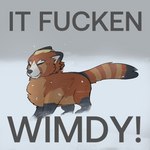 1:1 2022 ailurid ambiguous_gender blonde_hair dialogue digital_media_(artwork) english_text eyes_closed feral feretta feretta_(character) fur hair headwind it_fucken_wimdy mammal meme outside profanity red_body red_fur red_panda snow solo text wind