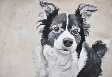 black_body black_fur black_nose brown_eyes feral fur multicolored_body multicolored_fur quadruped solo two_tone_body two_tone_fur white_body white_fur renum63 canid canine canis domestic_dog mammal 2014 acrylic_painting_(artwork) painting_(artwork) traditional_media_(artwork) traditional_painting_(artwork)