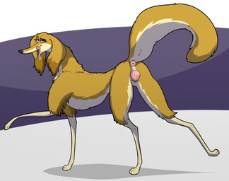 abstract_background animal_genitalia animal_vulva anus bedroom_eyes butt canine_genitalia canine_vulva countershade_face countershade_legs countershade_tail countershade_thighs countershade_torso countershading eyebrows eyelashes female female_feral feral floppy_ears fur genitals leg_markings licking licking_lips long_ears looking_at_viewer markings multicolored_body multicolored_fur narrowed_eyes open_mouth puffy_anus pupils quadruped raised_eyebrow raised_tail seductive slim snout socks_(marking) solo tail tail_anus tan_body tan_fur tongue tongue_out toony vulva conditional_dnp psy101 fixed_(film) honey_(fixed) borzoi canid canine canis domestic_dog hunting_dog mammal sighthound 2025 colored digital_media_(artwork) hi_res shaded