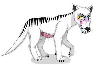 animal_genitalia balls blush blush_lines bodily_fluids claws dripping drooling erection evil_face fangs feral fur genital_fluids genitals heterochromia licking licking_lips looking_at_viewer male penis precum precum_drip saliva sheath solo stripes teeth tongue tongue_out toony unusual_anatomy unusual_genitalia unusual_penis white_body white_fur tundrainy tundra_(tundrainy) canid canine canis dasyuromorph felid hybrid mammal marsupial pantherine recently_extinct_species thylacine tiger wolf