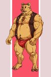 anthro belly brown_body brown_fur bulge clothing fur humanoid_hands kemono male musclegut muscular nipples overweight overweight_anthro overweight_male solo underwear kounfuyu animal_crossing nintendo kevin_(animal_crossing) domestic_pig mammal suid suine sus_(pig) 2020 hi_res