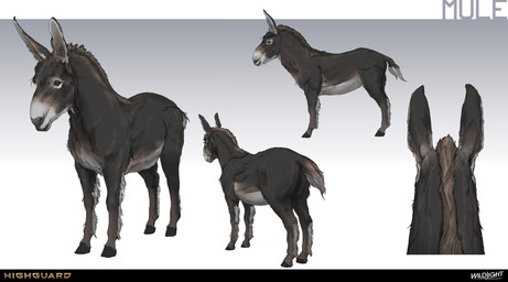 ambiguous_feral ambiguous_gender black_body black_fur black_hooves black_lips black_mane black_nose black_tail brown_mane brown_markings brown_sclera brown_tail company_name feral fur gradient_background grey_body grey_fur grey_inner_ear grey_tail hooves horizontal_pupils light lips long_ears mane markings medium_tail mouth_closed multicolored_body multicolored_fur multicolored_mane multicolored_tail nude nude_ambiguous orange_eyes pupils quadruped short_mane simple_background solo standing tail text tools turnaround unguligrade nicholas_patrick_kelana highguard_(game) equid equine hybrid mammal mule 2026 absurd_res colored concept_art digital_drawing_(artwork) digital_media_(artwork) english_description english_text hi_res lighting official_art shaded