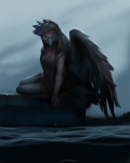 anthro beak black_beak black_body black_feathers black_hair clothed clothing feathered_wings feathers female hair jewelry short_hair solo water wings koul kaara avian bird 4:5