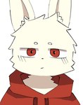 anthro cheek_tuft clothing eyebrows facial_tuft front_view hood inner_ear_fluff looking_at_viewer male mouth_closed rabbit_ears red_eyes simple_background simple_coloring simple_mouth simple_nose solo topwear tuft white_background cross_0315 lagomorph leporid mammal rabbit cross-hatching hatching_(art) hi_res shaded simple_shading