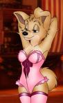 anthro anthrofied clothing corset featureless_crotch female legwear lingerie solo stockings topwear folwilliar disney lady_and_the_tramp angel_(lady_and_the_tramp) canid canine canis domestic_dog mammal mixed_breed pomsky hi_res