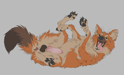 4_toes animal_genitalia animal_penis anus balls black_balls brown_paws canine_genitalia canine_penis claws erection feet feral genitals hindpaw knot knotted_penis lying male on_back pawpads paws penis solo toe_claws toes tongue tongue_out wavyrr noxy_(dhole) canid canine dhole mammal absurd_res hi_res