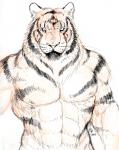 abs anthro athletic biceps big_muscles biped black_body black_fur brown_body brown_fur fur looking_at_viewer male markings muscular muscular_anthro muscular_male nipples nude pecs pose simple_background solo standing stripes whiskers white_background rwolf felid mammal pantherine tiger 2005 sketch