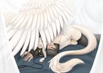 5_fingers anthro chastity_cage chastity_device feathered_wings feathers fingers looking_at_viewer male solo white_body white_feathers wings accelo zaihryel_(character) hybrid