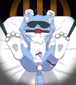 2015 altz anal anal_penetration anthro anus arms_tied ball_gag balls bdsm bed blindfold blue_fur blush bodily_fluids bondage bound breathable_gag cub domestic_cat egg_vibrator felid feline felis foreskin fur gag gagged legs_tied lying male mammal masturbation nipples nude on_back penetration penile penile_masturbation penis perineum rope saliva sex_toy shota solo submissive submissive_male uncut vibrator vibrator_on_penis white_fur young
Rating: Explicit
Score: 3
User: ajk
Date: August 17, 2019 2015 altz anal anal_penetration anthro anus arms_tied ball_gag balls bdsm bed blindfold blue_fur blush bodily_fluids bondage bound breathable_gag cub domestic_cat egg_vibrator felid feline felis foreskin fur gag gagged legs_tied lying male mammal masturbation nipples nude on_back penetration penile penile_masturbation penis perineum rope saliva sex_toy shota solo submissive submissive_male uncut vibrator vibrator_on_penis white_fur young
Rating: Explicit
Score: 3
User: ajk
Date: August 17, 2019