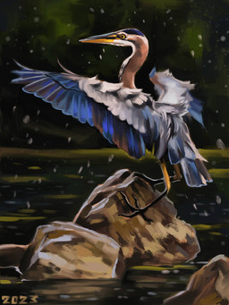 beak black_beak black_talons blue_body blue_feathers feathers feral long_beak long_neck on_rock pond rock solo spread_wings water_droplets white_body white_feathers wings yellow_beak alexpahomov avian bird great_blue_heron great_heron heron pelecaniform 2023 3:4 digital_media_(artwork) digital_painting_(artwork) painting_(artwork)