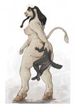 anal anal_vore anthro balls big_breasts big_butt black_hair breasts butt dominant dominant_female duo female forced forced_rimming fur genitals grey_body grey_fur gynomorph hair hand_on_head herm hooves horn intersex intersex/male larger_female looking_at_another looking_back looking_pleasured male oral penis pinned raised_tail rimming sex side_boob simple_background size_difference smaller_male smile stuck tail tan_body thick_thighs vore dont_touch_rats european_mythology greek_mythology mythology laura_(drages) bovid bovine canid canine canis cattle mammal minotaur wolf hi_res