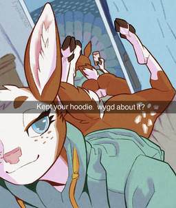 anus bedroom_eyes bottomless butt clothed clothing genitals hoodie mirror mirror_reflection mirror_selfie narrowed_eyes presenting presenting_hindquarters reflection seductive selfie topwear vulva eyeball6300_(chiv) aedalind_(hendak) hi_res